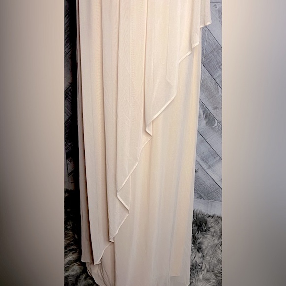 ADRIANNA PAPELL NWT LACE ILLUSION HALTER GOWN - Picture 7 of 11